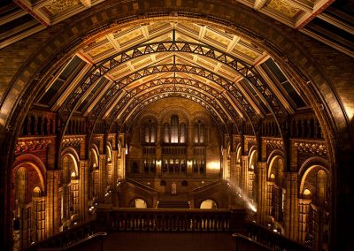 The wide open space of the Natural History Museum photographed from the top floor